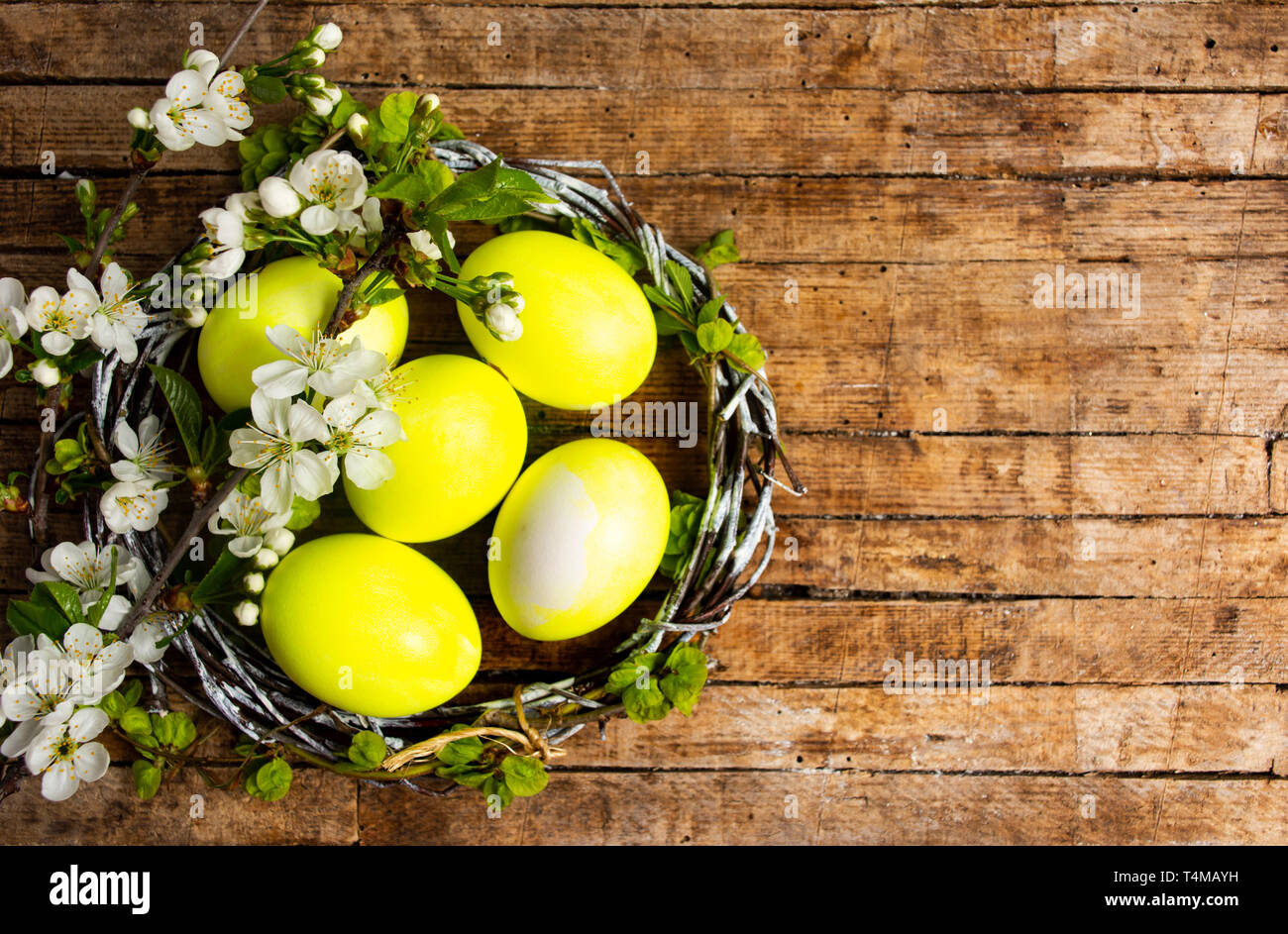 Gelbe Ostereier und Spring Blossom Flowers Top View Stockfoto