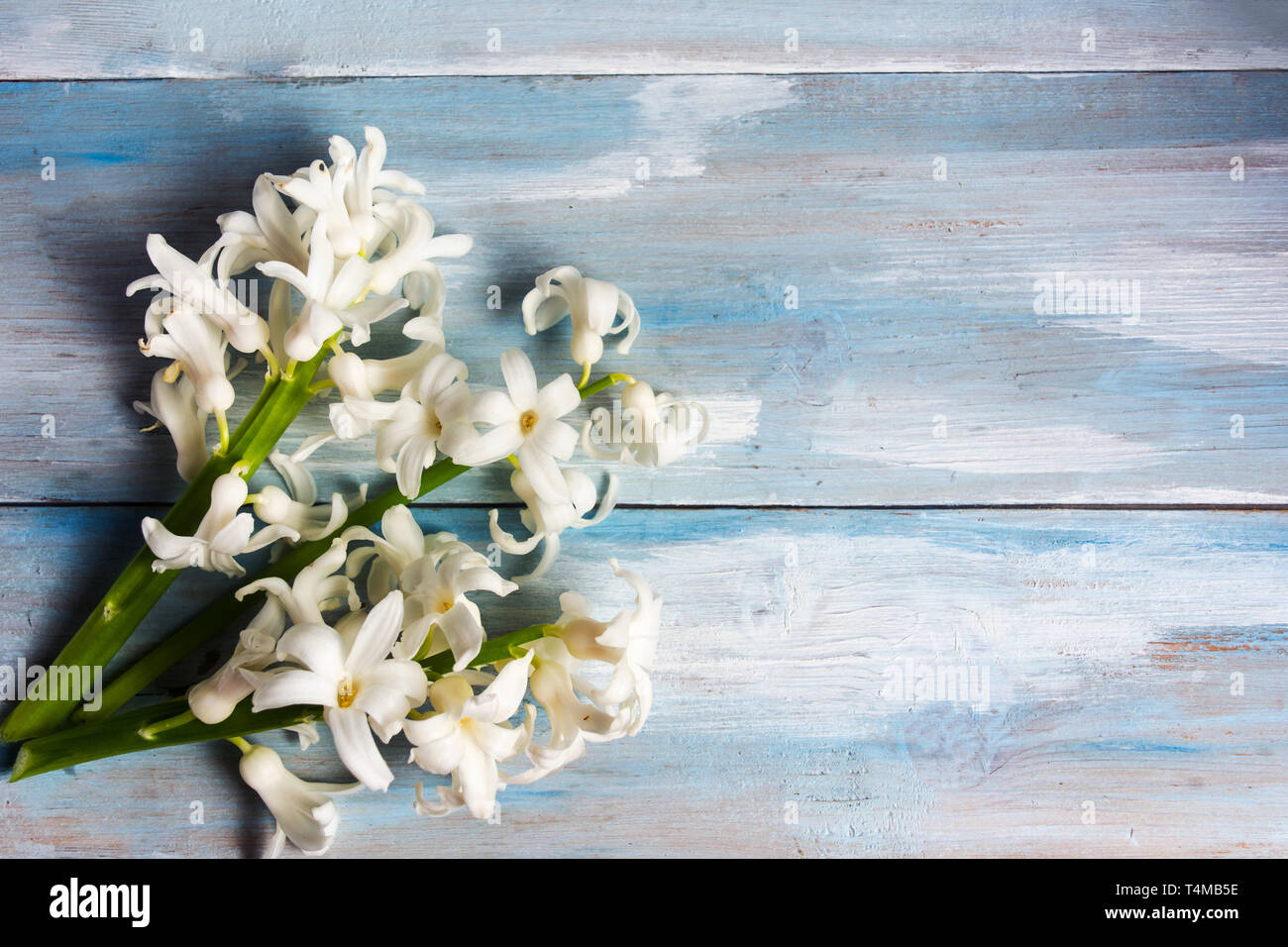 Hyazinthen Blumen Blumenstrauß auf einem Holztisch, Ansicht von oben Stockfoto
