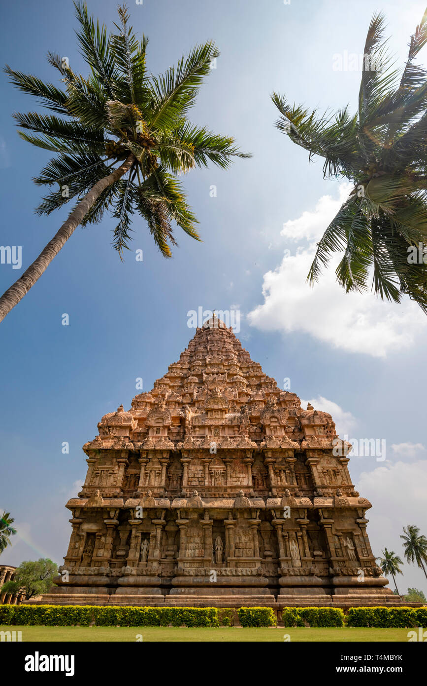 Vertikale Ansicht des Gangaikonda Cholapuram Tempel in Gangaikonda Cholapuram, Indien. Stockfoto