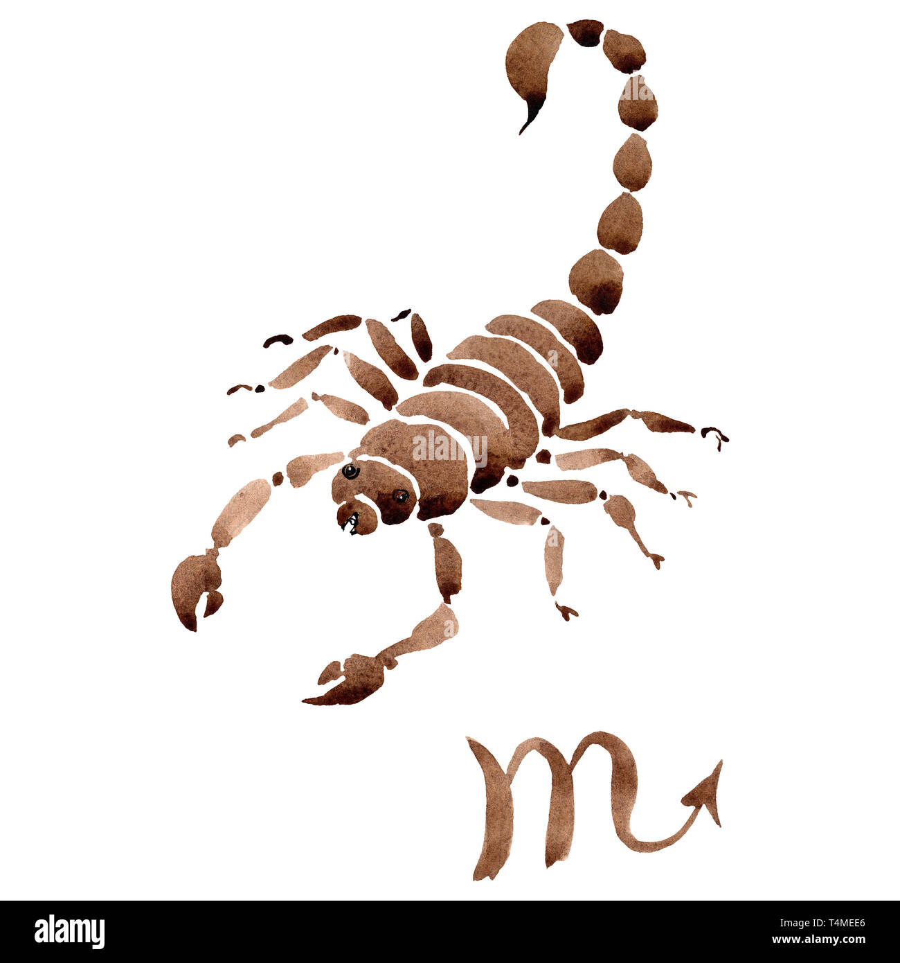 Skorpion Sternzeichen Astrologie Symbol Aquarell Hintergrund Abbildung Isolierte Horoskop Abbildung Element Stockfotografie Alamy