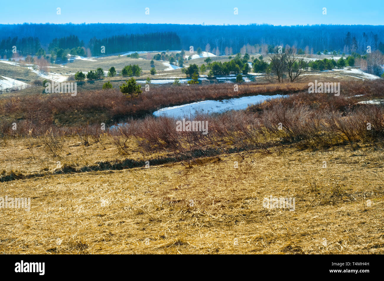 Russischen Frühling Landschaft im April Schnee schmilzt Stockfoto