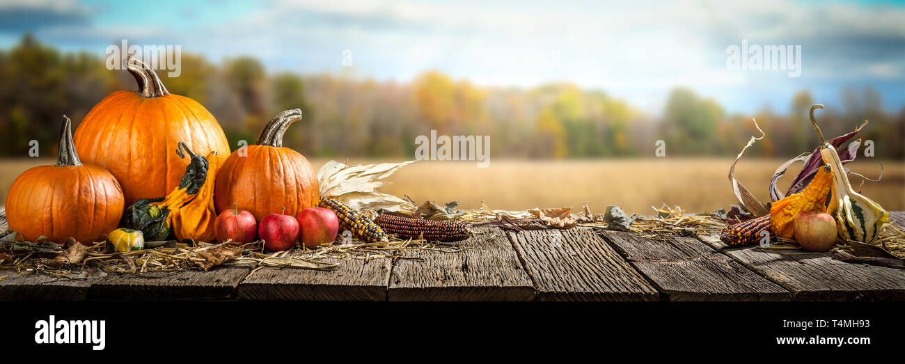 Thanksgiving mit Kürbisse, Äpfel und Maiskolben auf Holztisch mit Feld Bäume und Himmel im Hintergrund Stockfoto