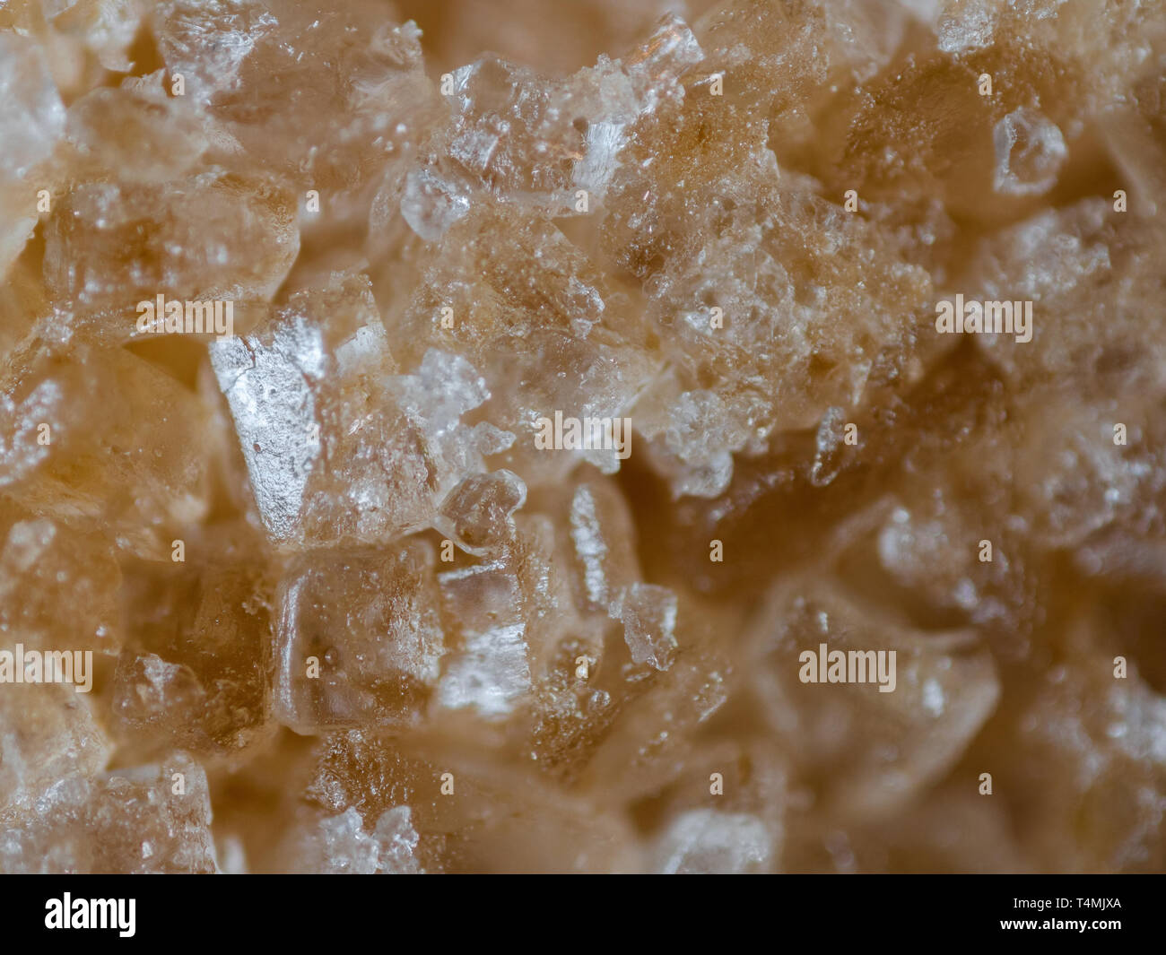 Extreme Nahaufnahme von einem braunen Würfel Zucker. Sehr geringe Tiefenschärfe. Stockfoto