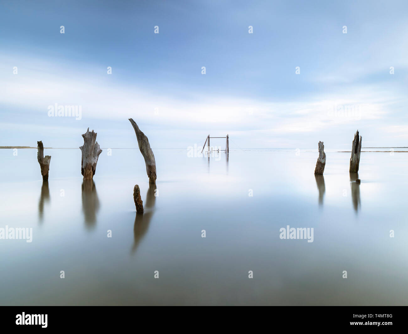 Die Überreste von toten Bäumen im Wasser an Thornham bei Flut. Stockfoto