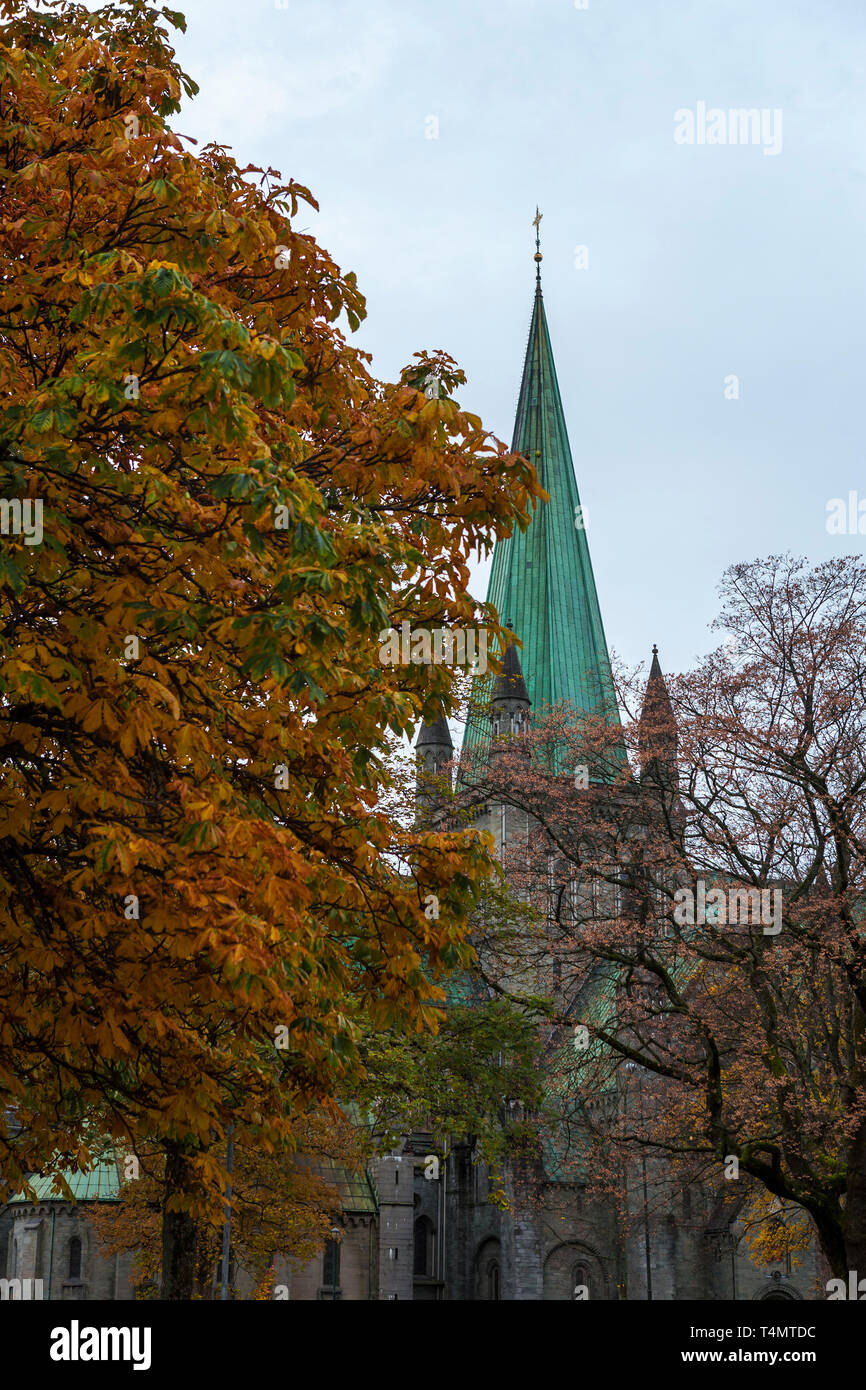 Nidarosdom inmitten der lebendigen Herbst Farbe, Trondheim, Norwegen Trondelag, Stockfoto