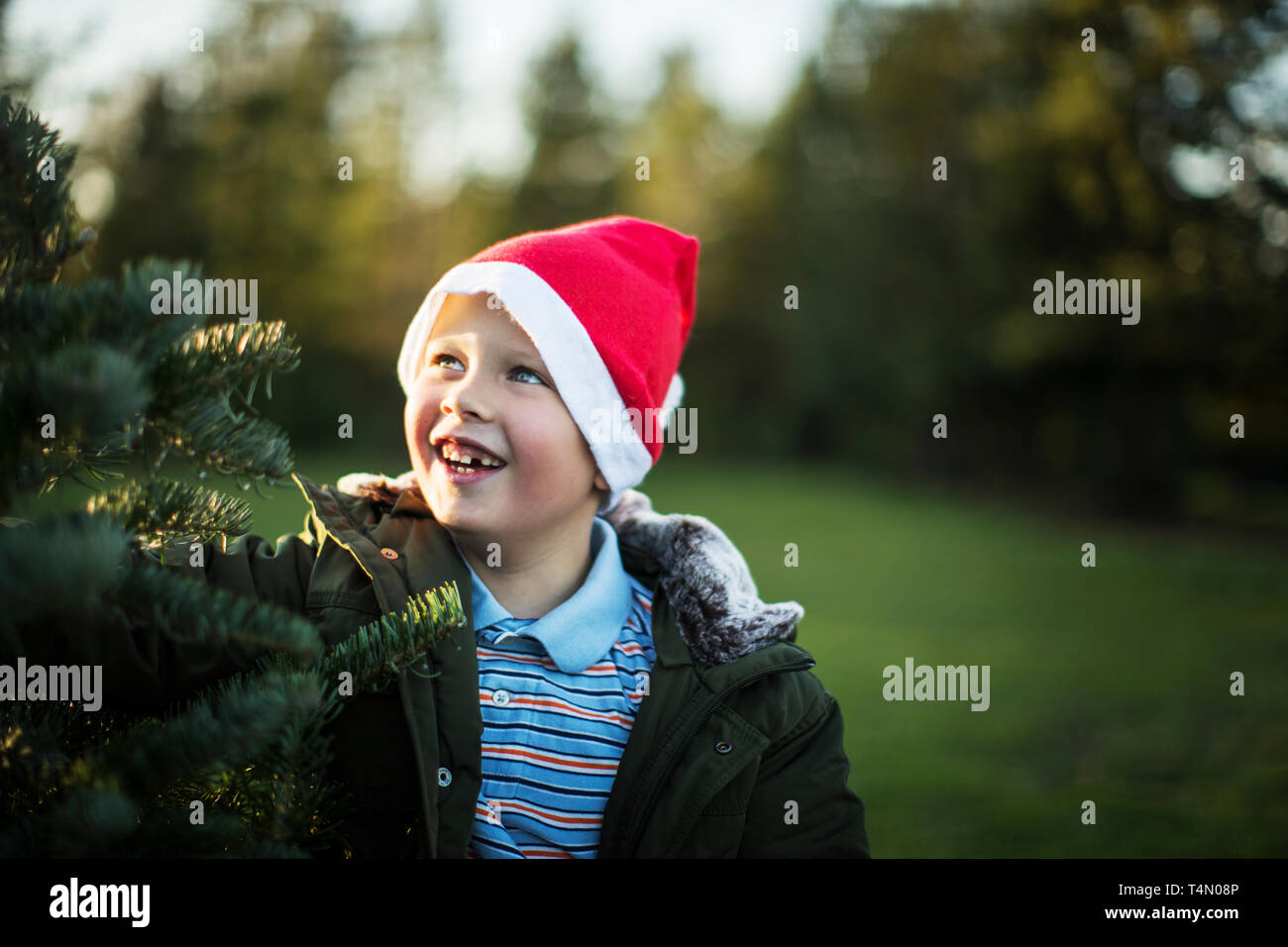 Lächelnde Junge neben einem Weihnachtsbaum. Stockfoto