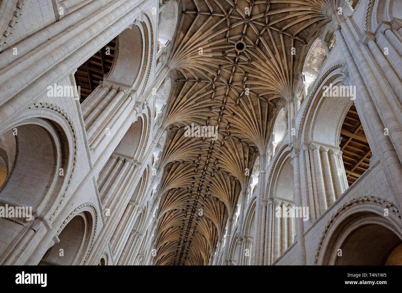 Ventilator, gewölbte Decke in der Kathedrale von Norwich, Norfolk, England Stockfoto
