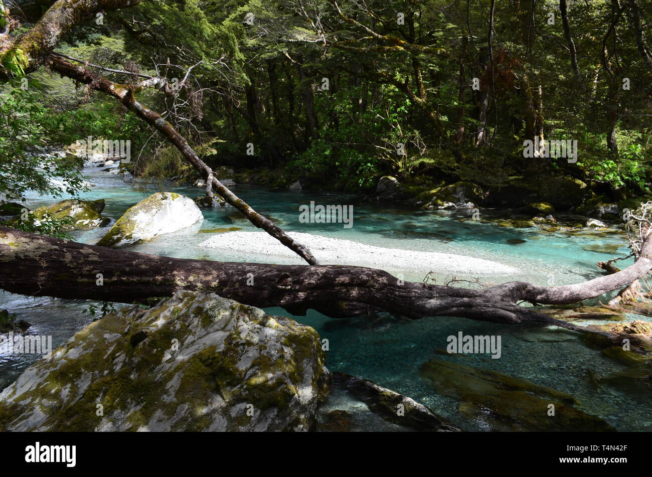 Die schönsten Fluss, den ich je gesehen Stockfoto