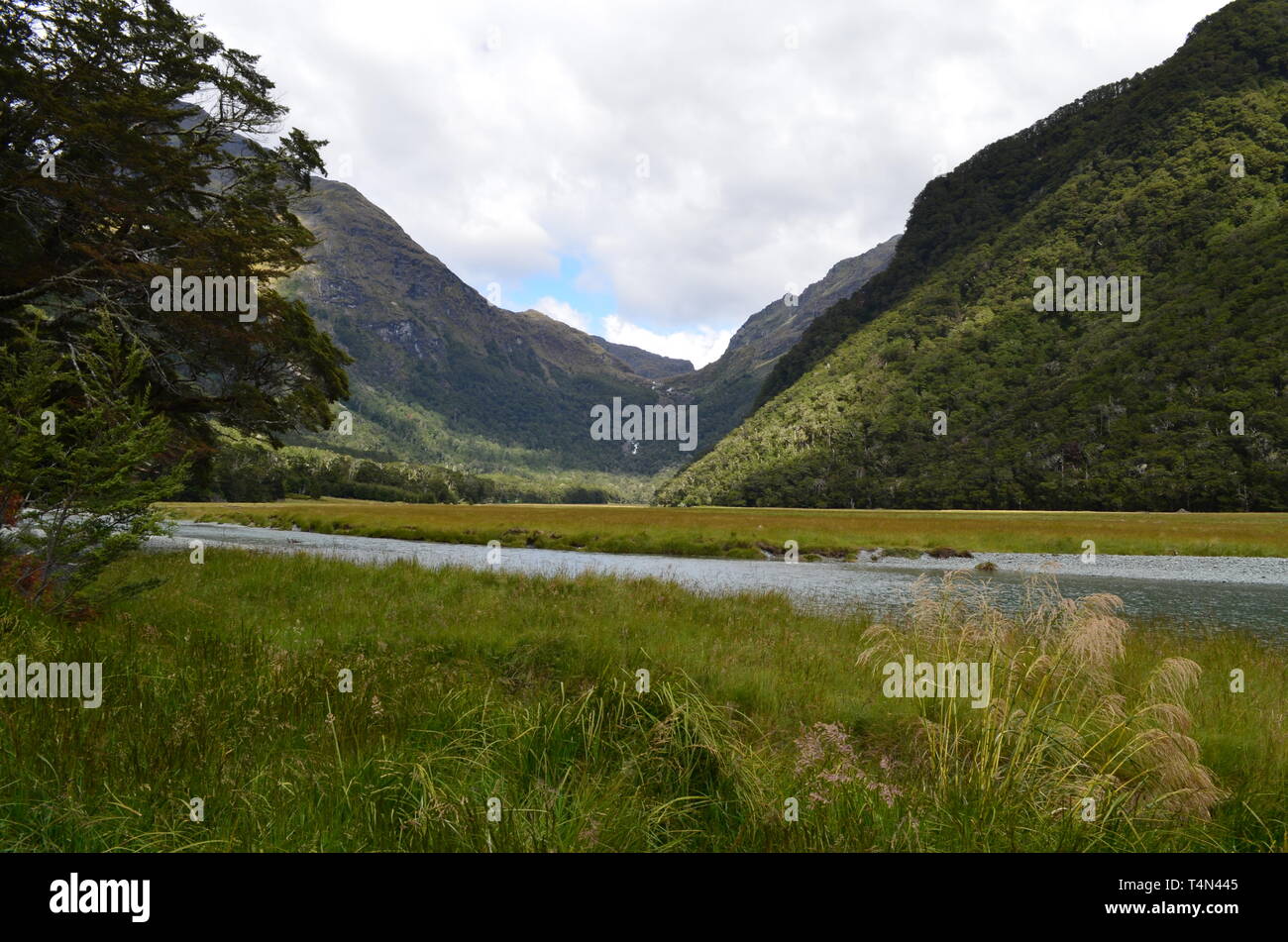 Den schönsten Blick in Neuseeland Stockfoto
