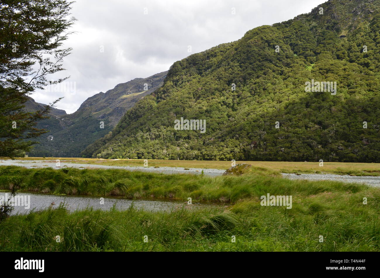 Den schönsten Blick in Neuseeland Stockfoto