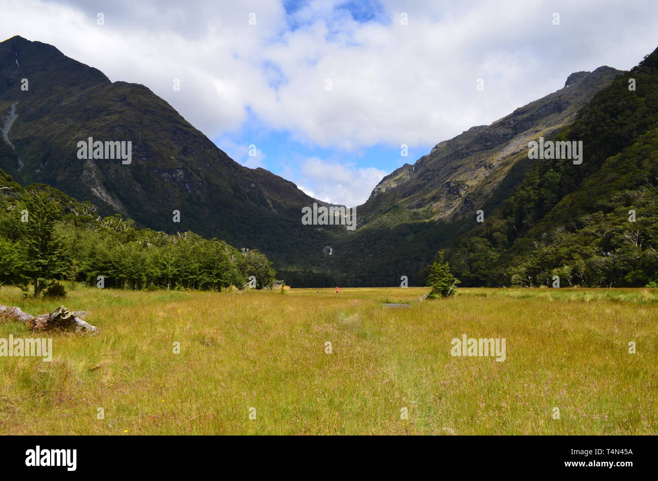 Den schönsten Blick in Neuseeland Stockfoto