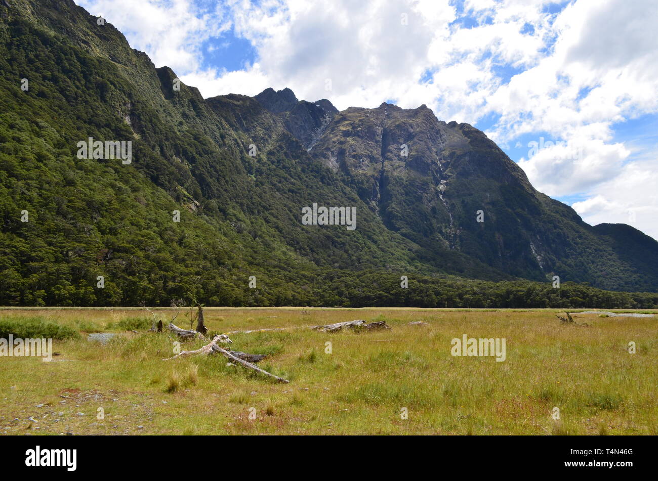 Die schönsten Ansichten in der Routeburn Track, Neuseeland Stockfoto