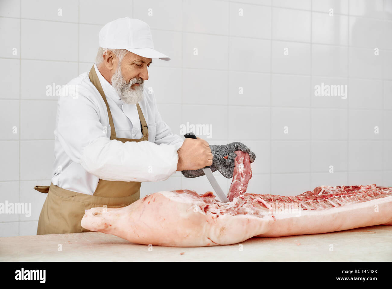 Ältere Metzger schneiden Schweinefleisch Schlachtkörper mit Messer. Stattliche Arbeiter mit grauen Bart in weiße Uniform, braune Schürze und spezielle Handschuhe schneiden frisches Fleisch auf Tabelle der Metzgerei. Stockfoto