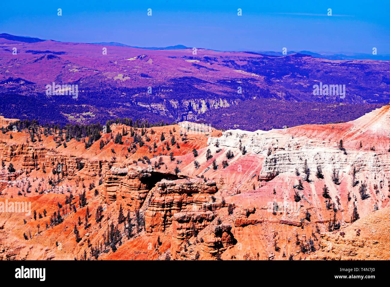 Mit Blick auf eine bunte Canyon mit orange Felsformationen mit rosa und lila Vegetation unter einem blauen Himmel. Stockfoto