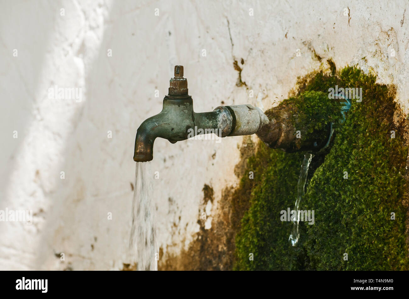 Veraltete verwitterten fließendem Wasserhahn der ländlichen alten überwachsen mit Moss fließenden Brunnen Stockfoto