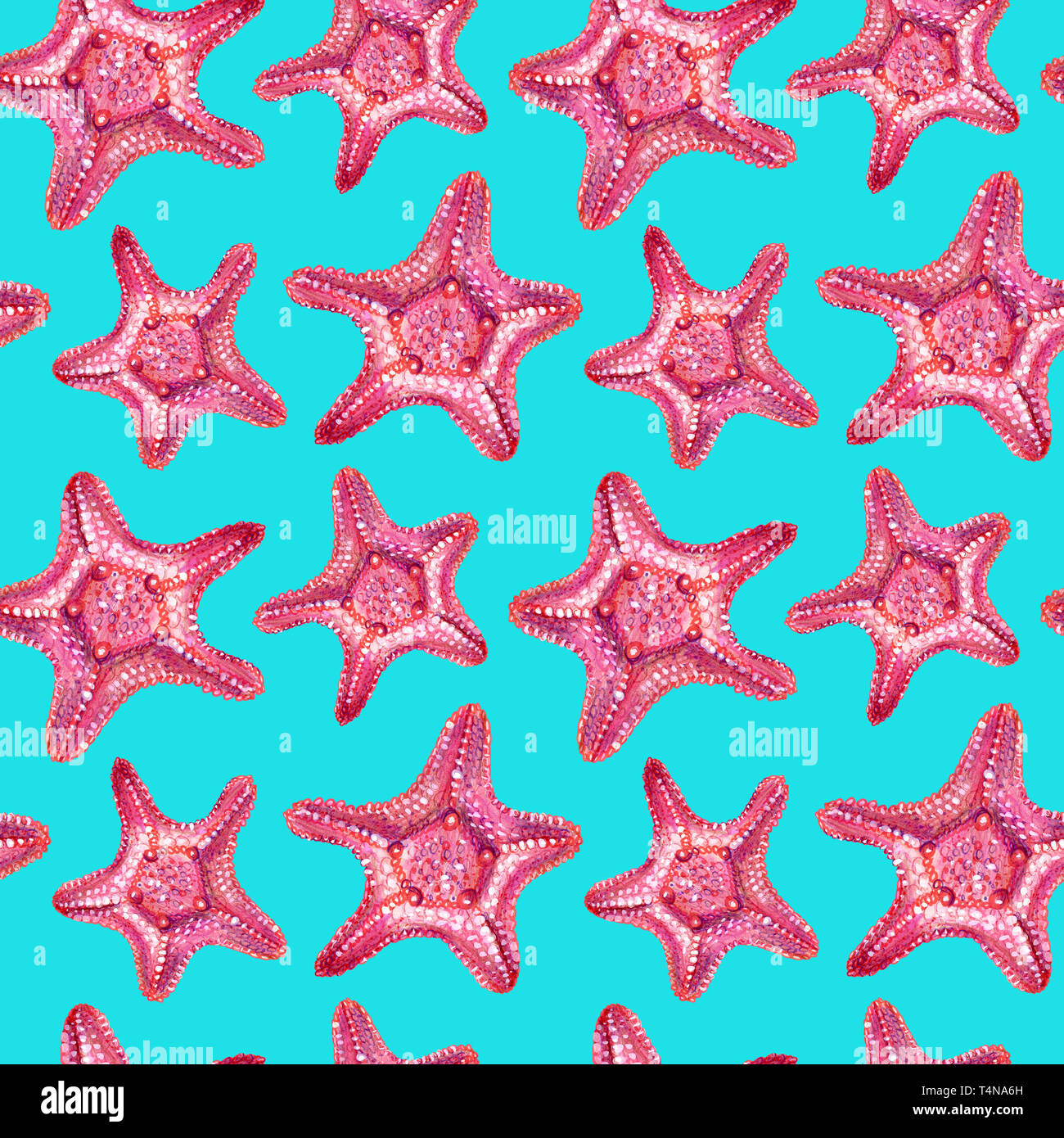 Nahtlose Muster mit Seestern. Starfish ist von Hand mit Buntstiften gezeichnet. Isolierte rosa Seestern auf einem aquamarin Hintergrund. Sommer Meer Konzept. Stockfoto