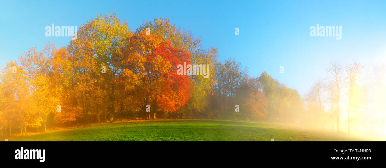 Schwarzwald im Herbst - Morgensonne Panorama Stockfoto