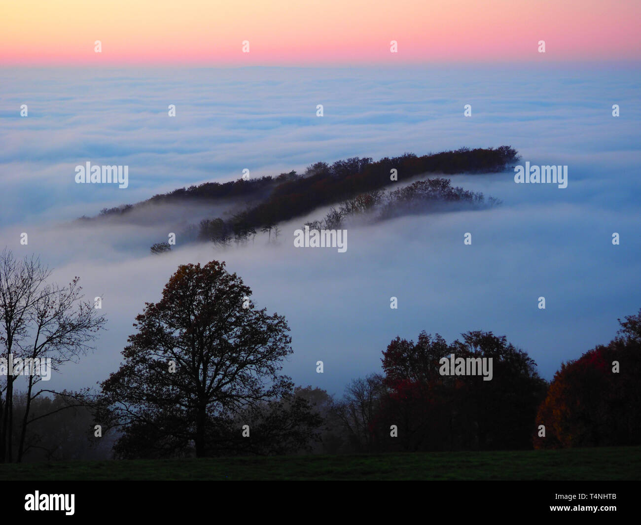 Schwarzwald Panorama - Blick über eine bewölkte Valley in der Abendsonne Stockfoto