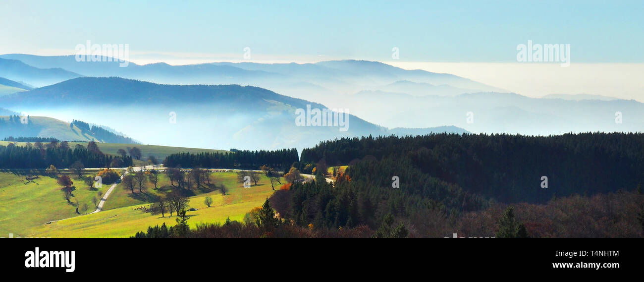Schwarzwald Panorama-nebligen Tal Stockfoto