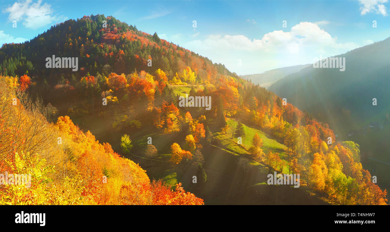 Schwarzwald im Herbst - Panorama Stockfoto