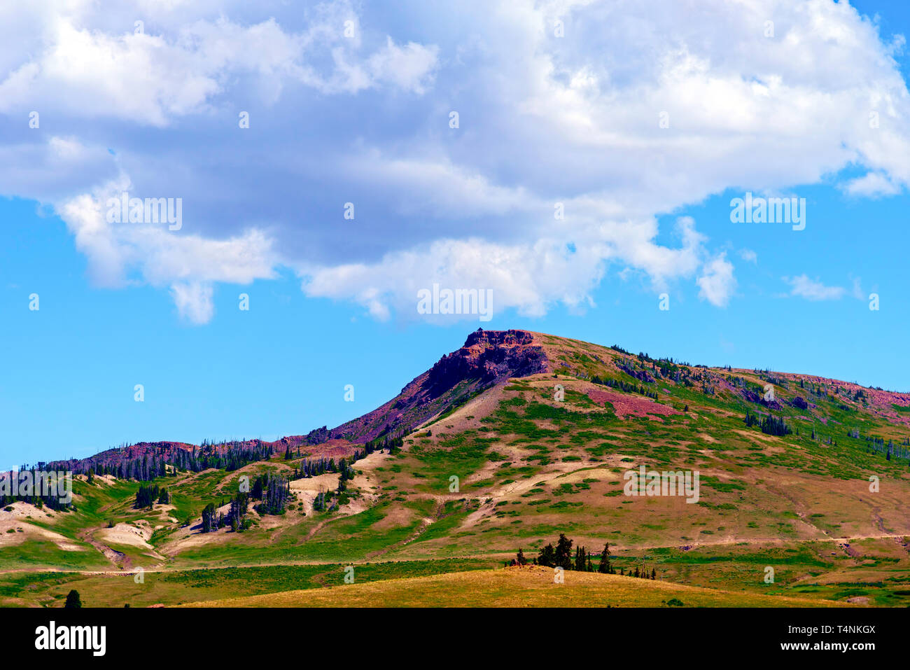 Grüne Felder und kleine Hügel, die Art und Weise zu Green Mountain unter einem blauen Himmel mit weißen Wolken. Stockfoto
