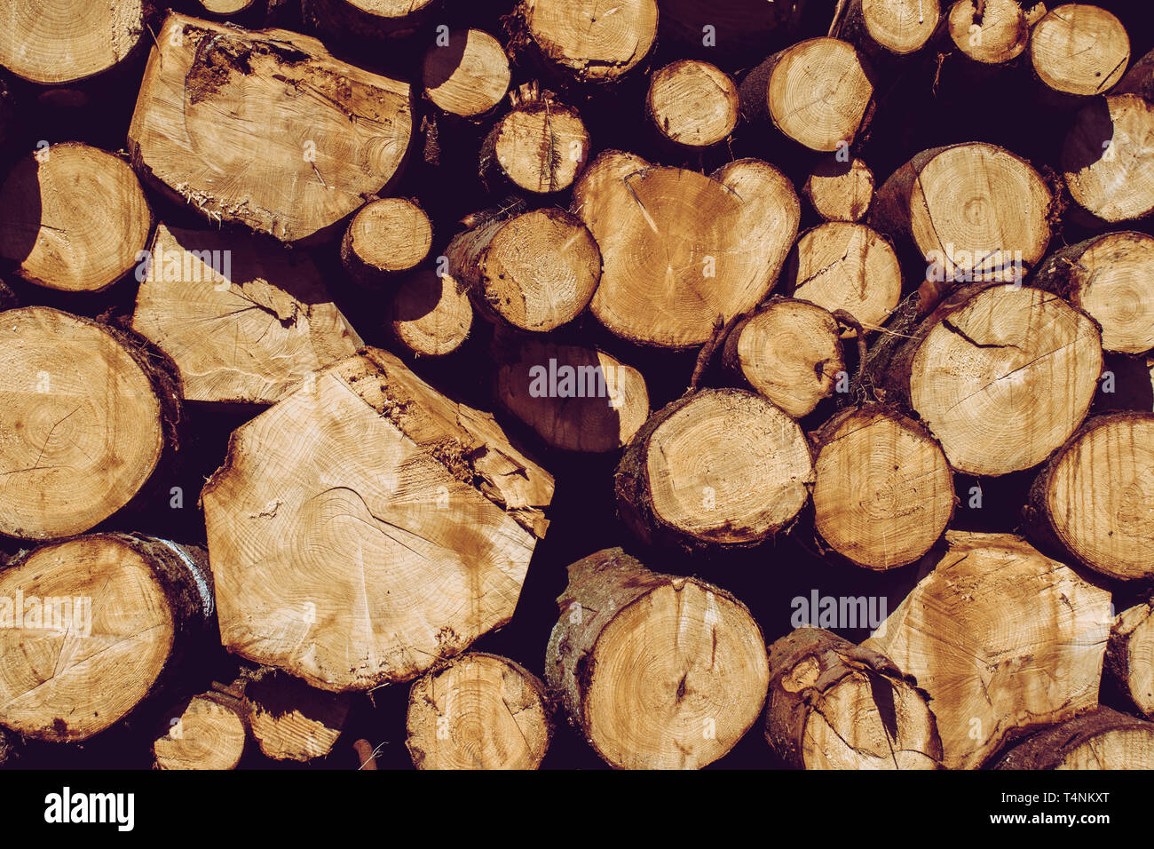 Holzbalken geschnitten und in Haufen gestapelt, die durch die Protokollierung Holzindustrie gefällt - Hintergrund Stockfoto