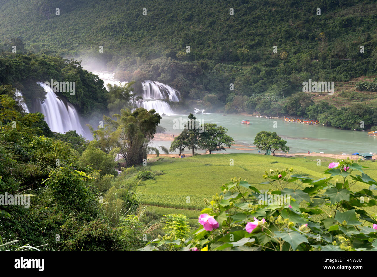 Bild von Ban Gioc Wasserfall in Cao Bang Provinz, Vietnam. Ban Gioc Wasserfall ist eine der 10 größten Wasserfälle der Welt und entlang Vietna Stockfoto