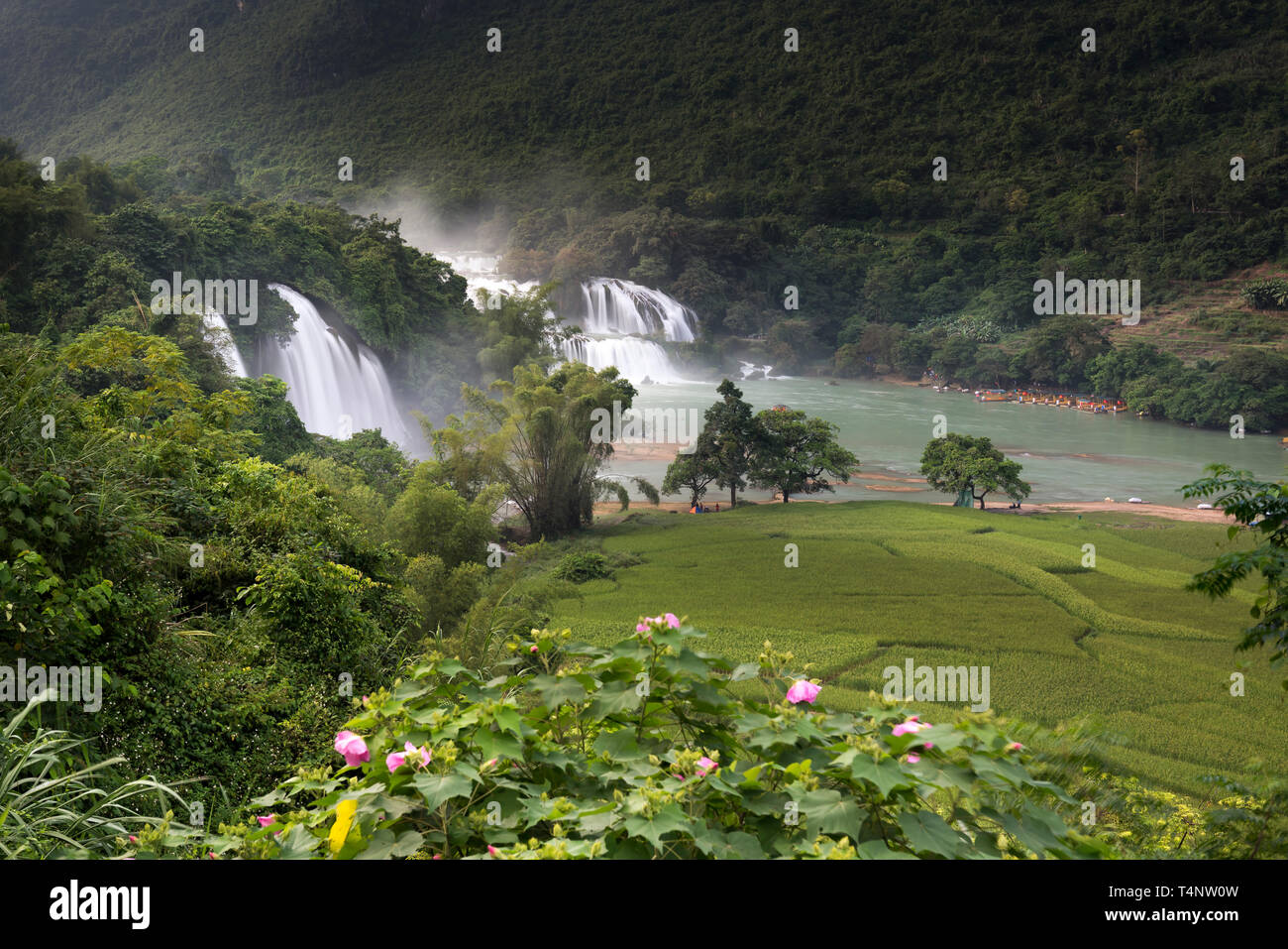 Bild von Ban Gioc Wasserfall in Cao Bang Provinz, Vietnam. Ban Gioc Wasserfall ist eine der 10 größten Wasserfälle der Welt und entlang Vietna Stockfoto
