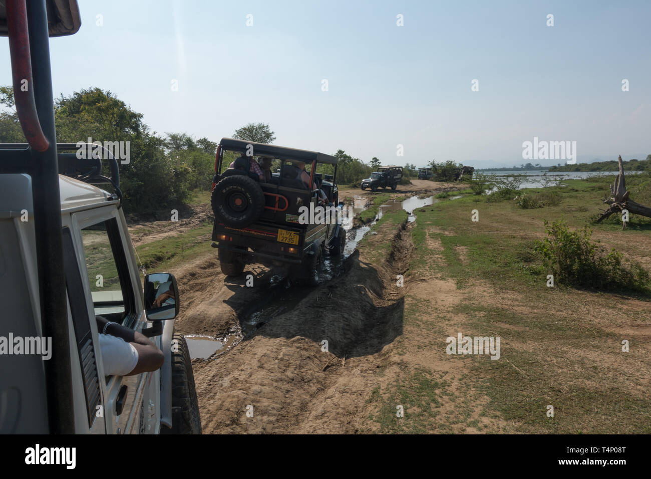 Touristen in Jeeps von Wildtieren im Nationalpark. Sri Lanka Stockfoto