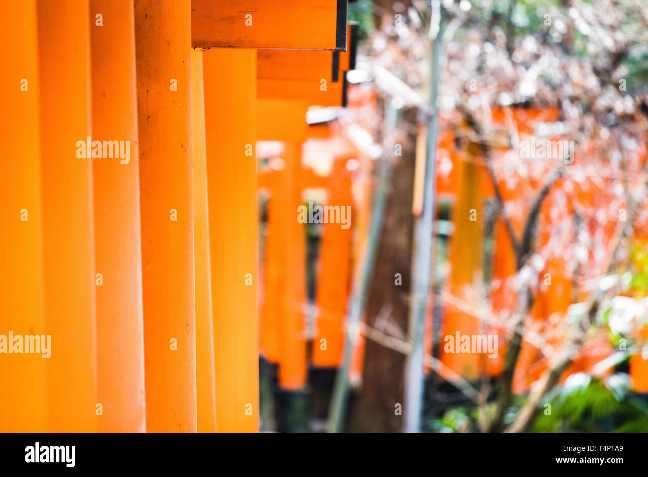 Orange Gates und Objekte an Fushimi Inari-Taisha Schrein in Kyoto, Japan Stockfoto