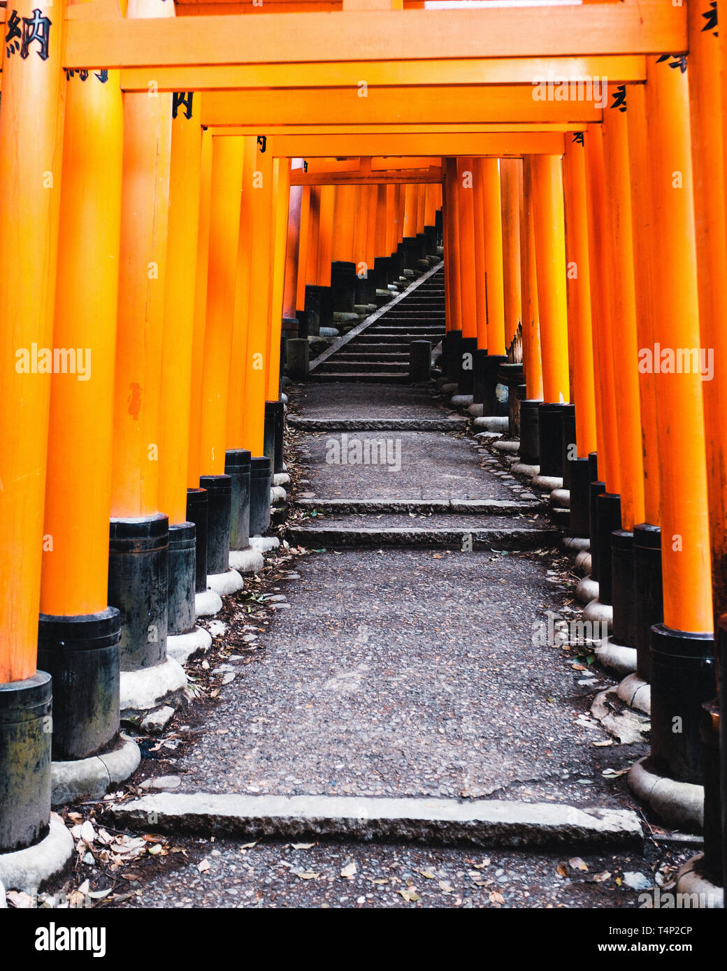 Orange Gates und Objekte an Fushimi Inari-Taisha Schrein in Kyoto, Japan Stockfoto