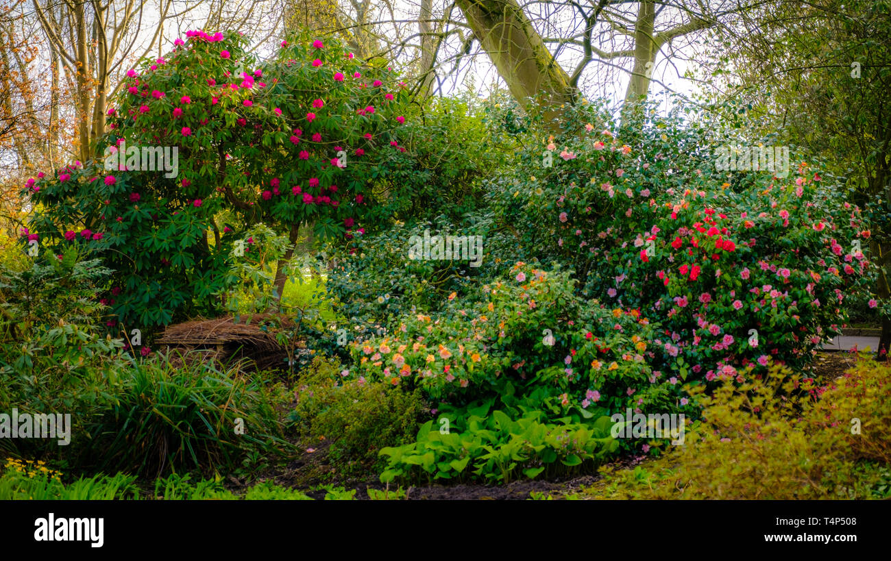 Bäume und Blumen in voller Blüte im Frühling Stockfoto