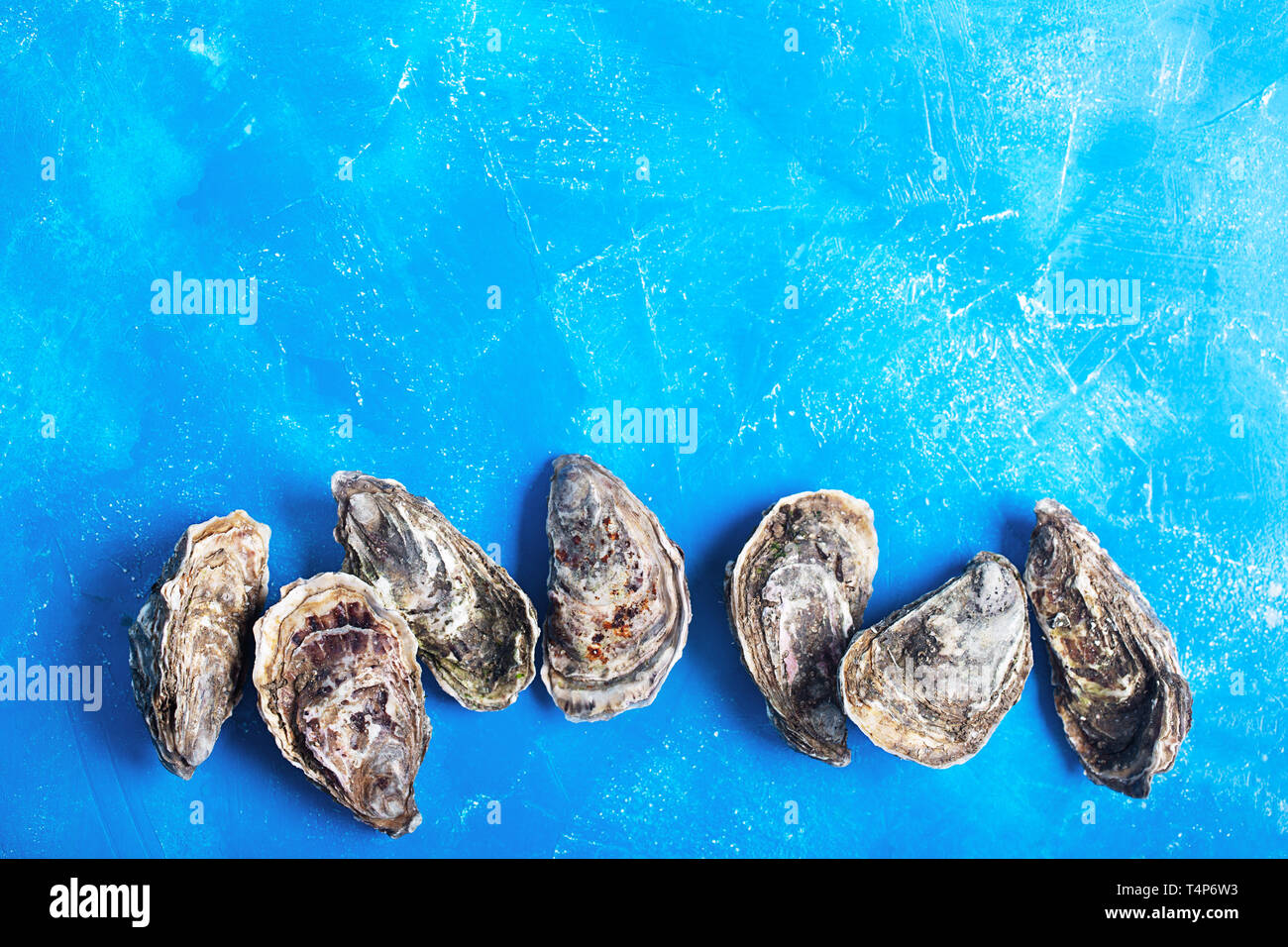 Austern auf blauem Hintergrund. Schalentiere enthält eine Masse von Vorteil Spurenelemente und Vitamine, die nutzbringend im ganzen Körper auswirken. Stockfoto