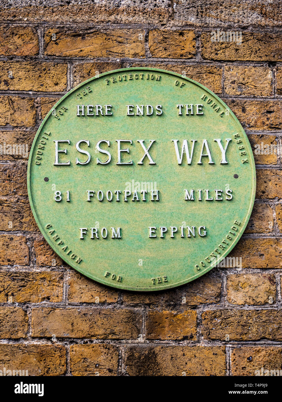 Essex Weise Plakette Harwich - grüne Plakette auf hohe Leuchtturm Harwich, markiert das Ende des Essex, 81 km Wanderweg von Epping nach Harwich. Stockfoto