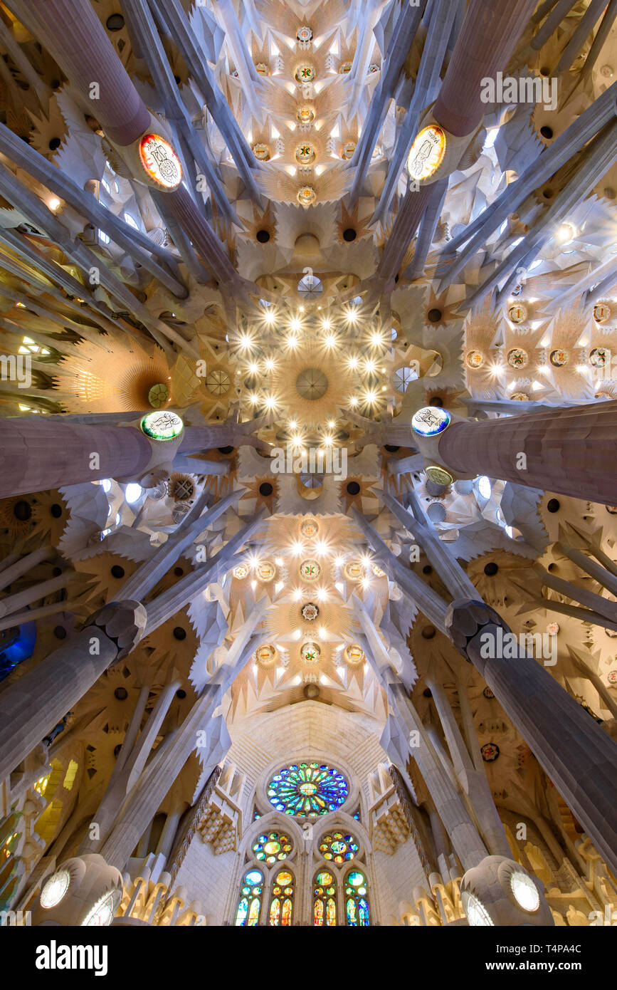 Die Decke der Sagrada Familia (Kirche der Heiligen Familie), der Kathedrale von Gaudí in Barcelona, Spanien, Stockfoto