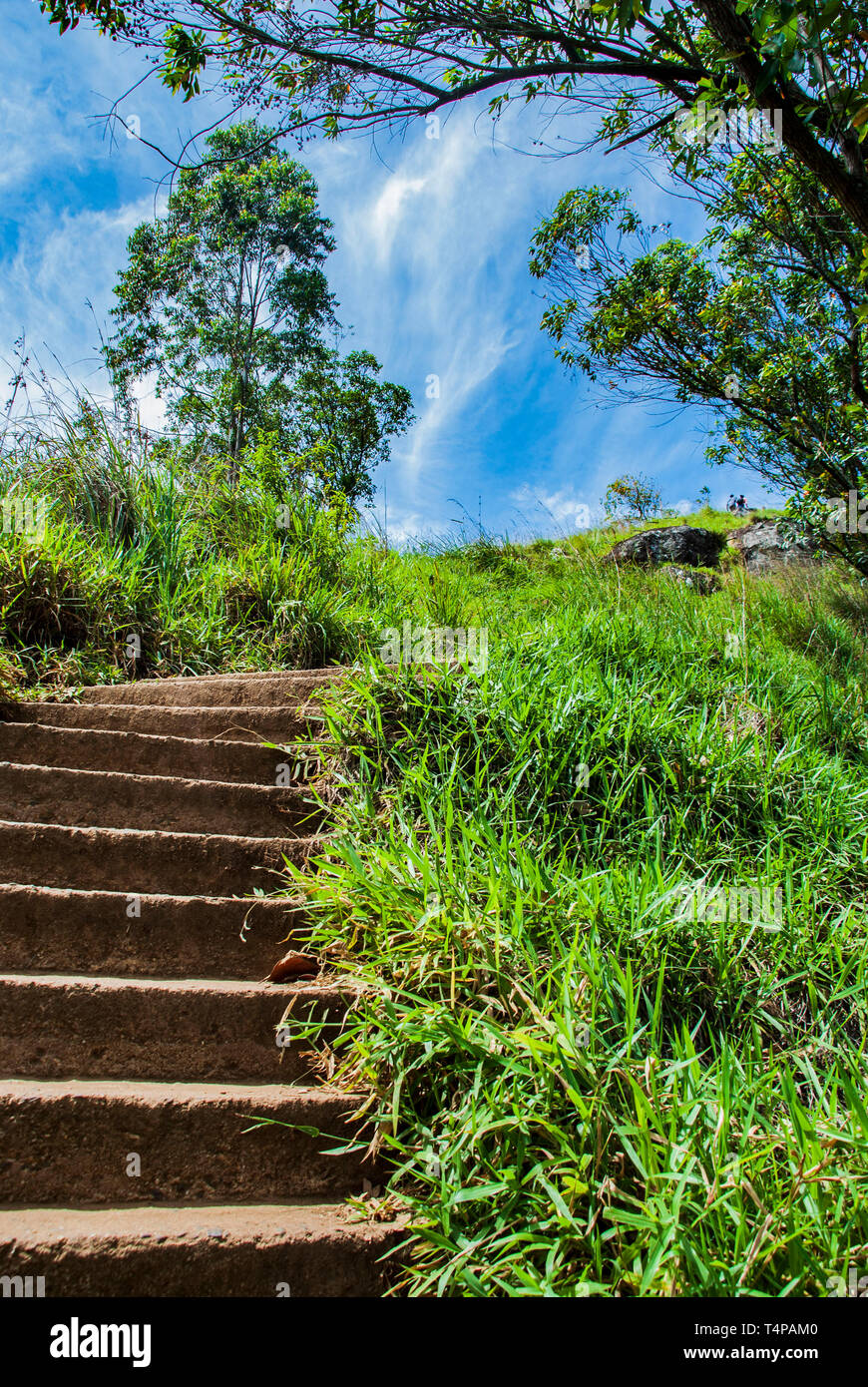 Trail zu Little Adam's Peak in Ella in Sri Lanka O Stockfoto