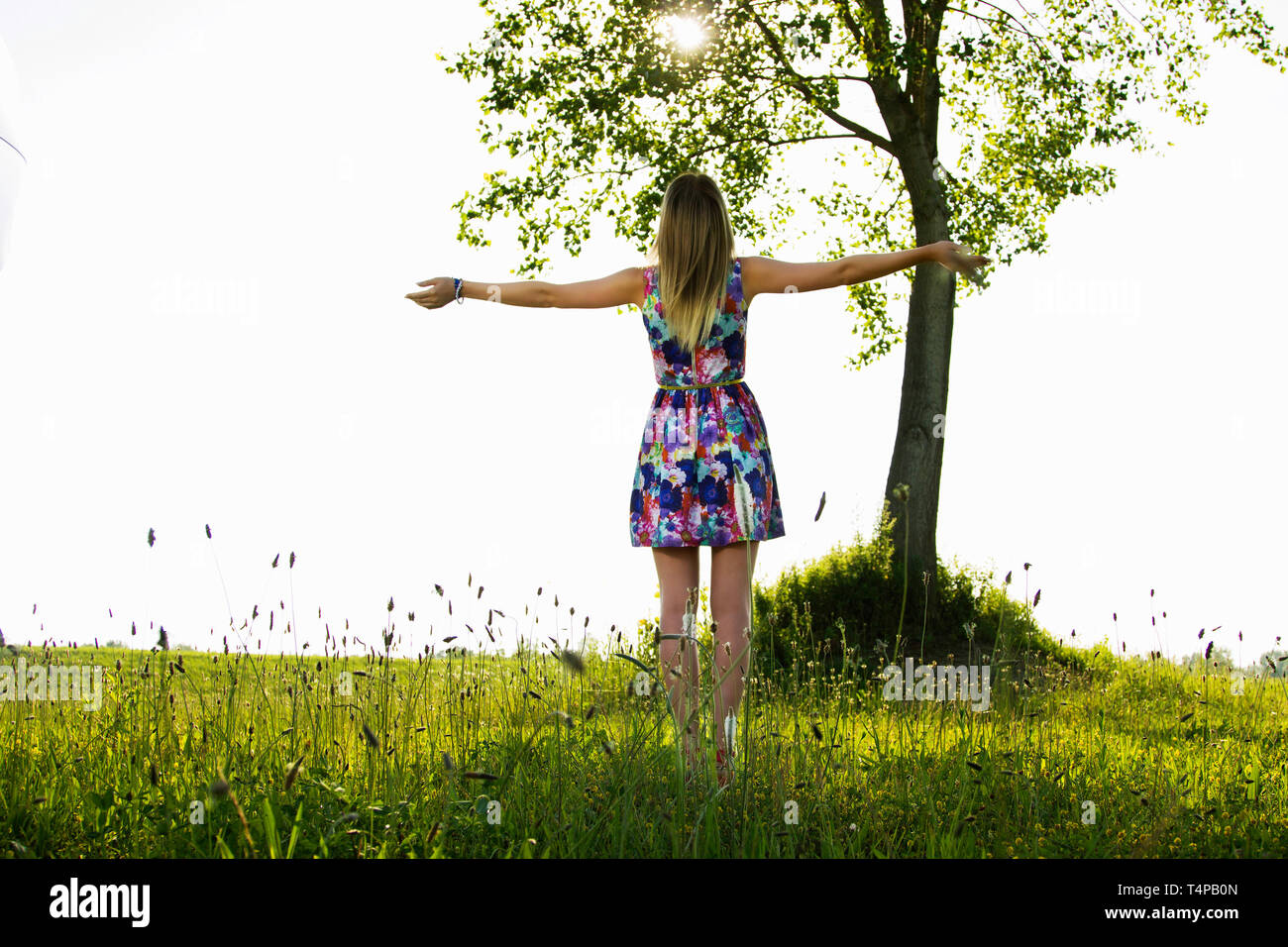 Grüße an Sun. Junge Frau in das Feld wiese Gruß sun und Bäume am Morgen, schönen Frühlingstag, entspannende Konzept Stockfoto