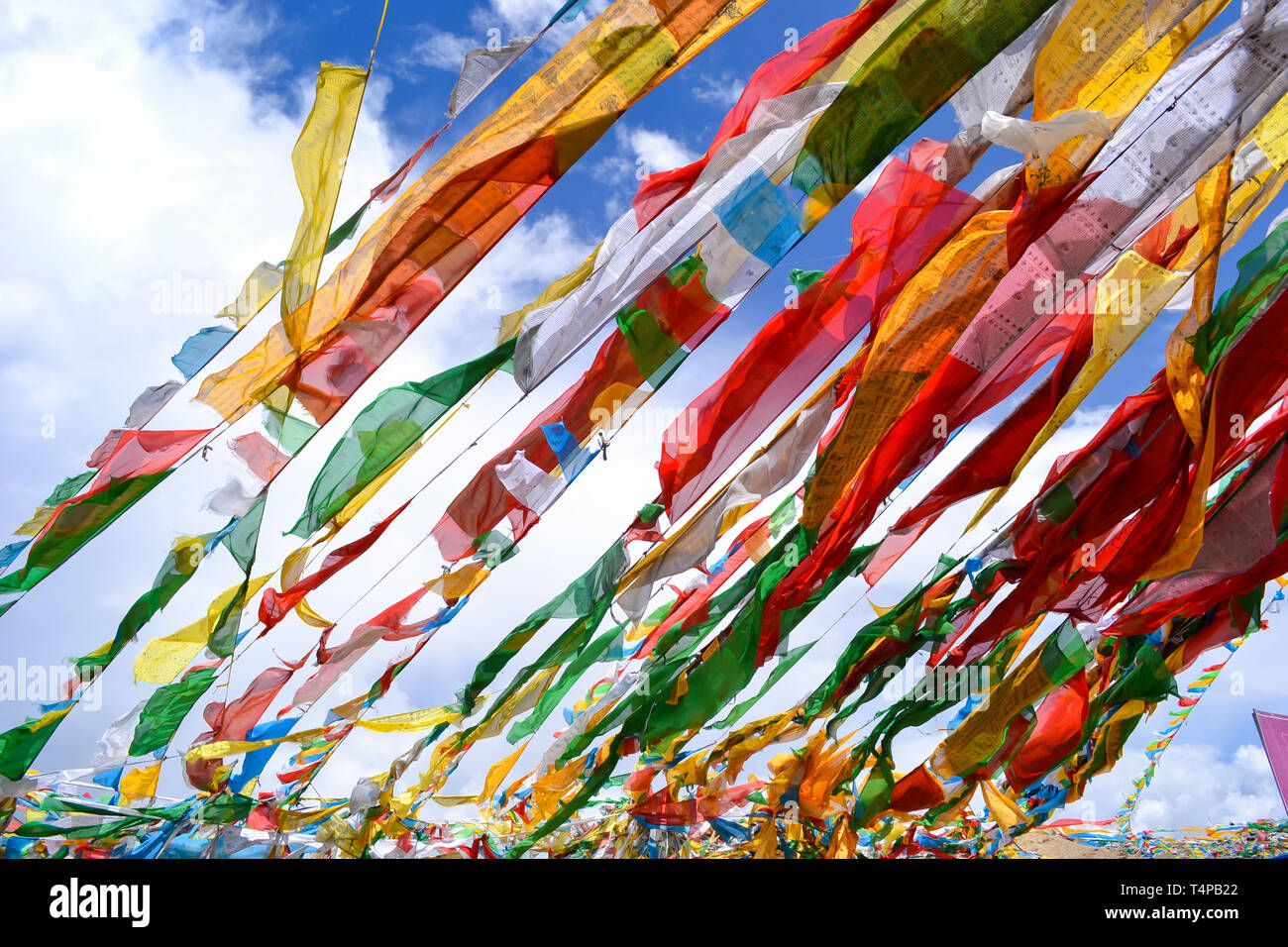 Die bunten Gebetsfahnen für den tibetischen Buddhismus Stockfoto