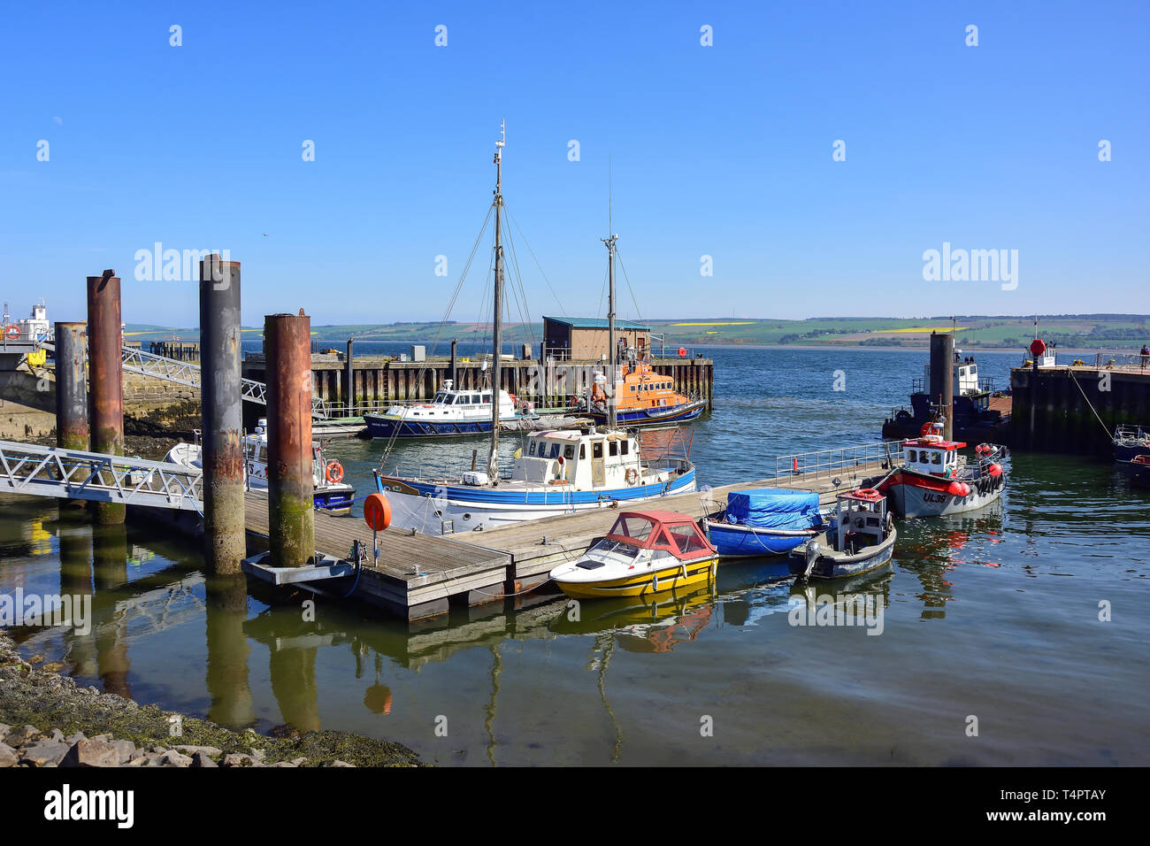 Fischereihafen, Invergordon, Highland, Schottland, Vereinigtes Königreich Stockfoto