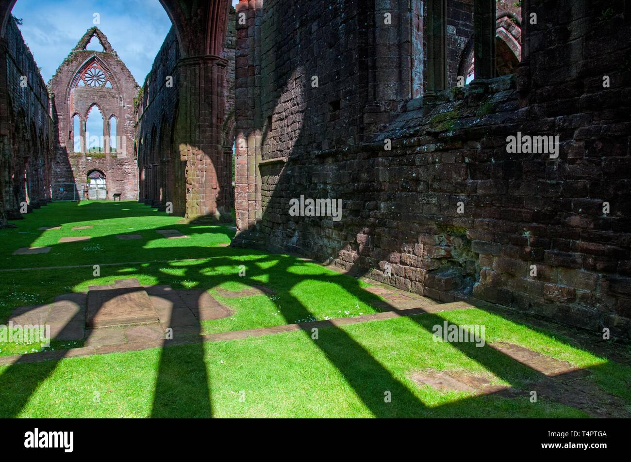 Sweetheart Abbey, Dumfries und Galloway, Schottland, Vereinigtes Königreich, Großbritannien, Europa Stockfoto
