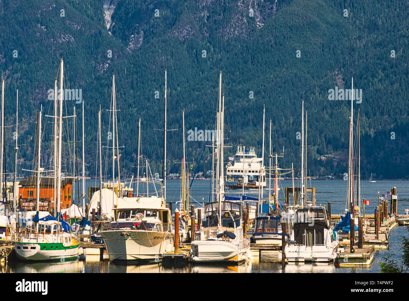 Atemberaubende Landschaften und Wasserlandschaften des Pazifischen Nordwesten von Bowen Island BC Kanada in der Nähe von Stadtzentrum von Vancouver, Bildende Kunst Fotografie. Stockfoto