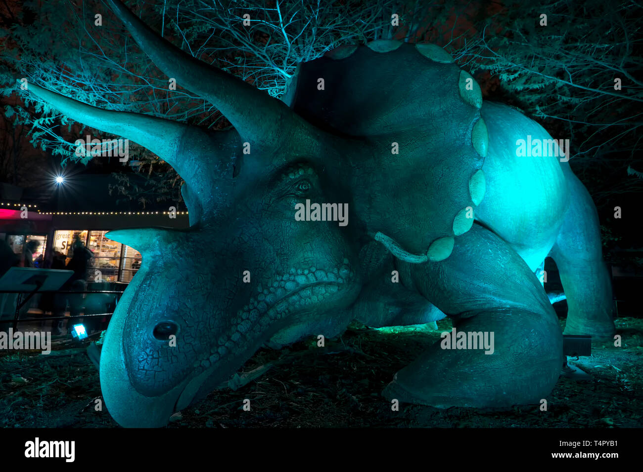 ZooLights im Smithsonian National Zoological Park, Washington, D.C. Stockfoto