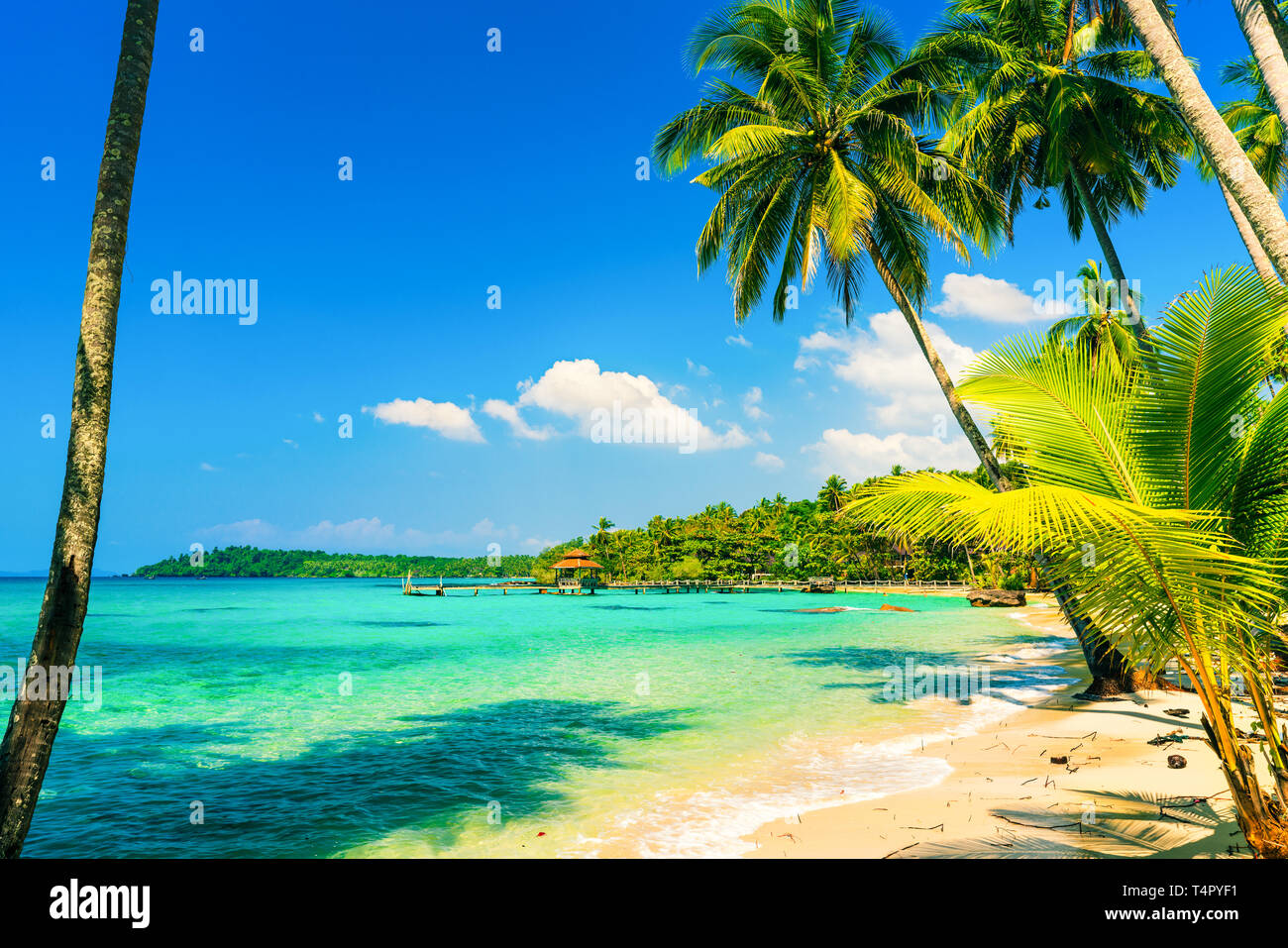 Tropischen Strand mit kristallklarem Meer Wasser, Landschaft Palme auf Hintergrund erstaunlich Lagune und blauer Himmel. Asien, Thailand Stockfoto