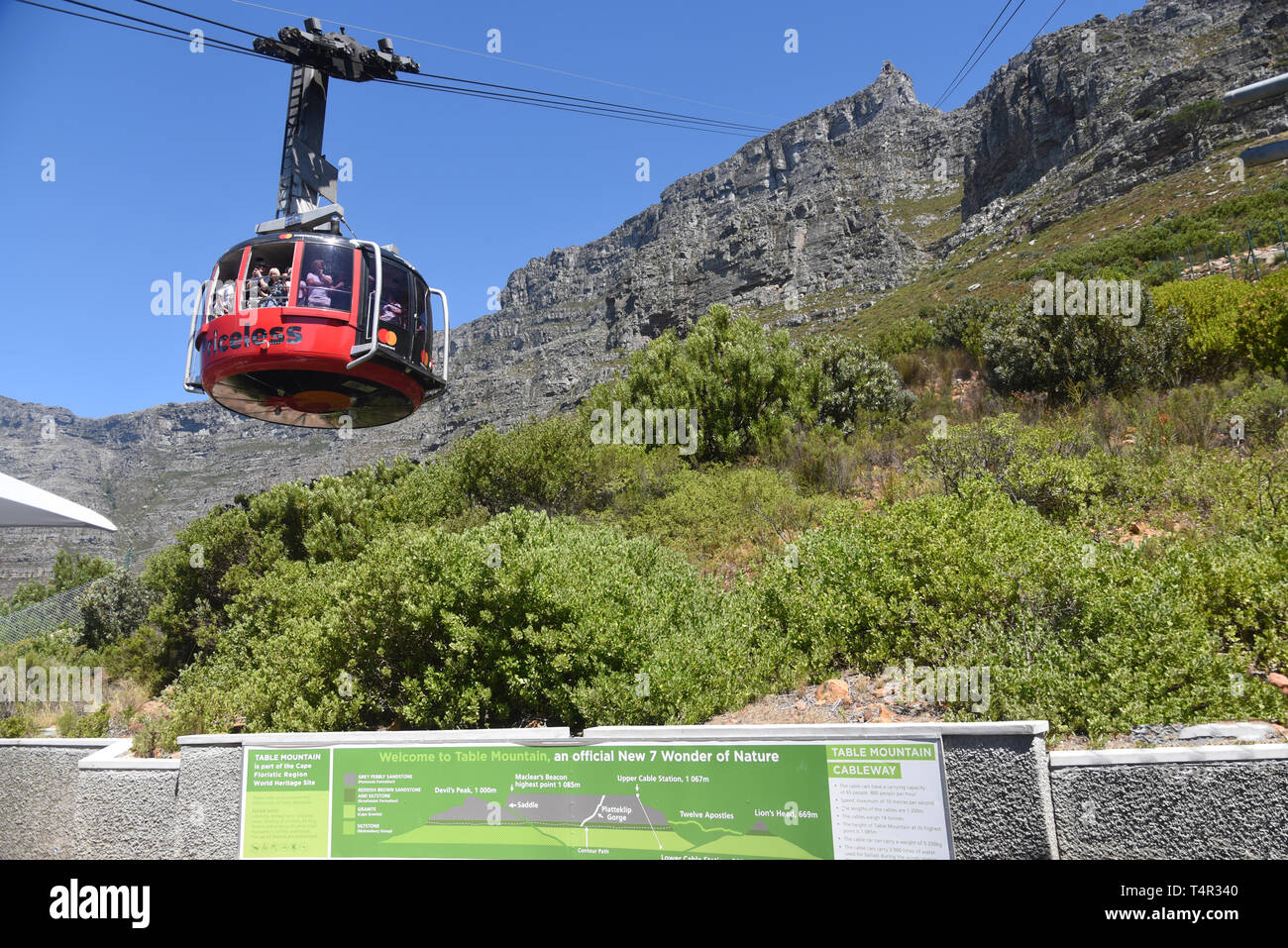 Tafelberg, Kapstadt, Südafrika Stockfoto