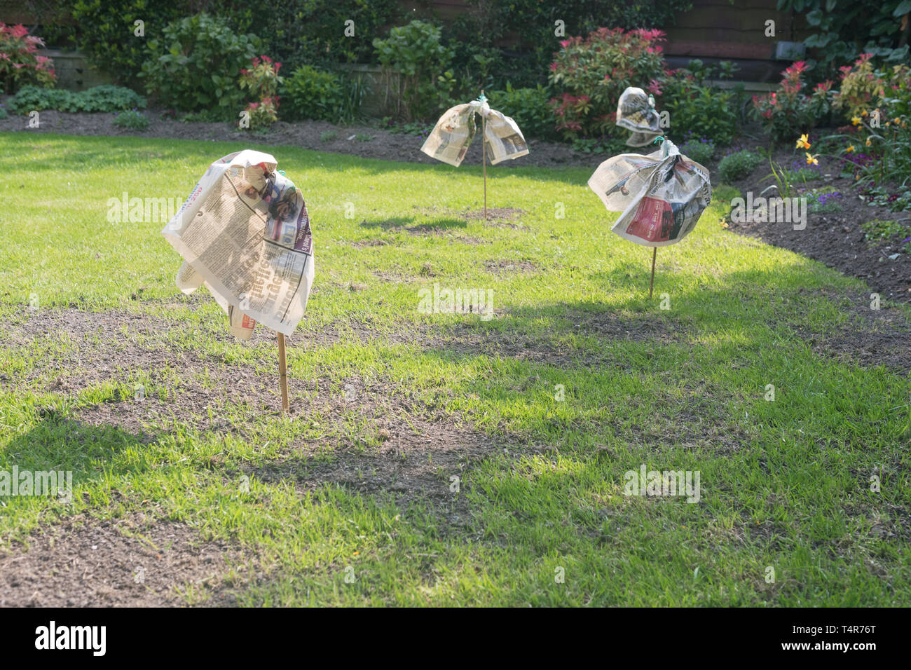 Aus Zeitungspapier Gemacht Stockfotos und -bilder Kaufen - Alamy