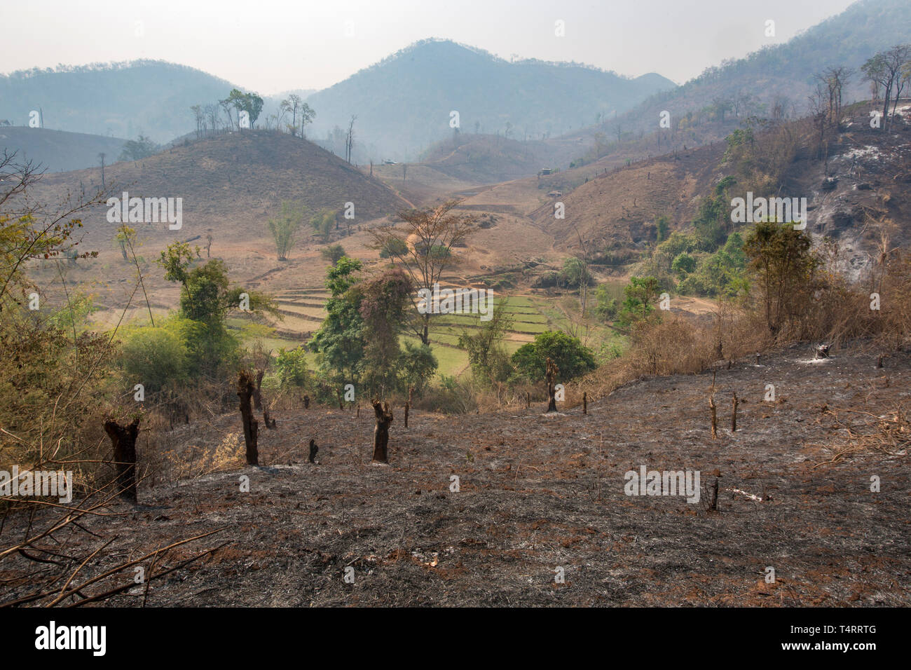 Slash und Landwirtschaft brennen in den Hügeln in der Nähe von Hsipaw im Shan Staat, Myanmar. Stockfoto