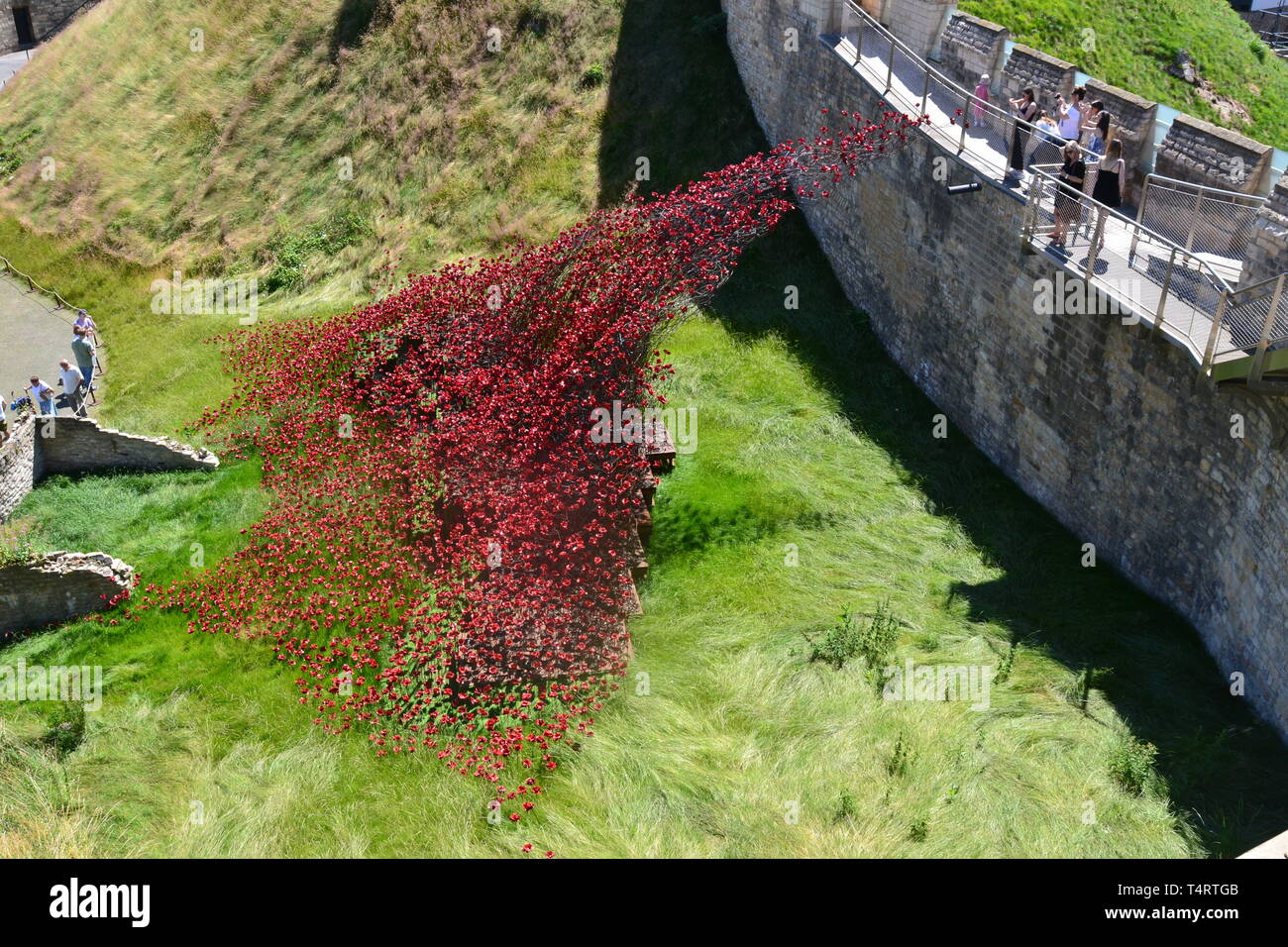 Poppy Wave Skulptur des Künstlers Paul Cummins, am Lincoln Castle, Lincoln, Lincolnshire, Großbritannien Stockfoto