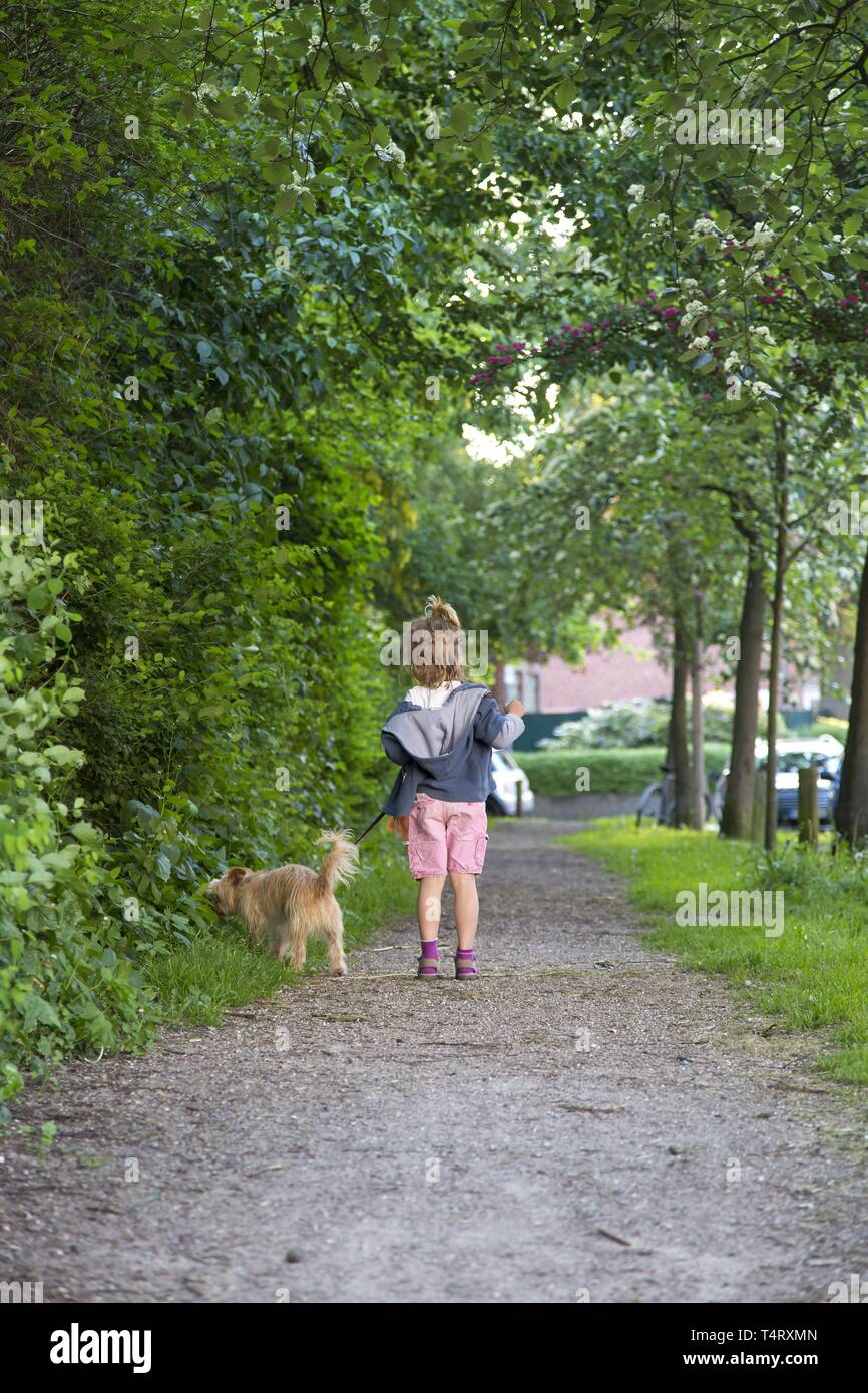 Mädchen (5) mit Hund, Spaziergang mit dem Hund, Kiel, Deutschland, Europa Stockfoto