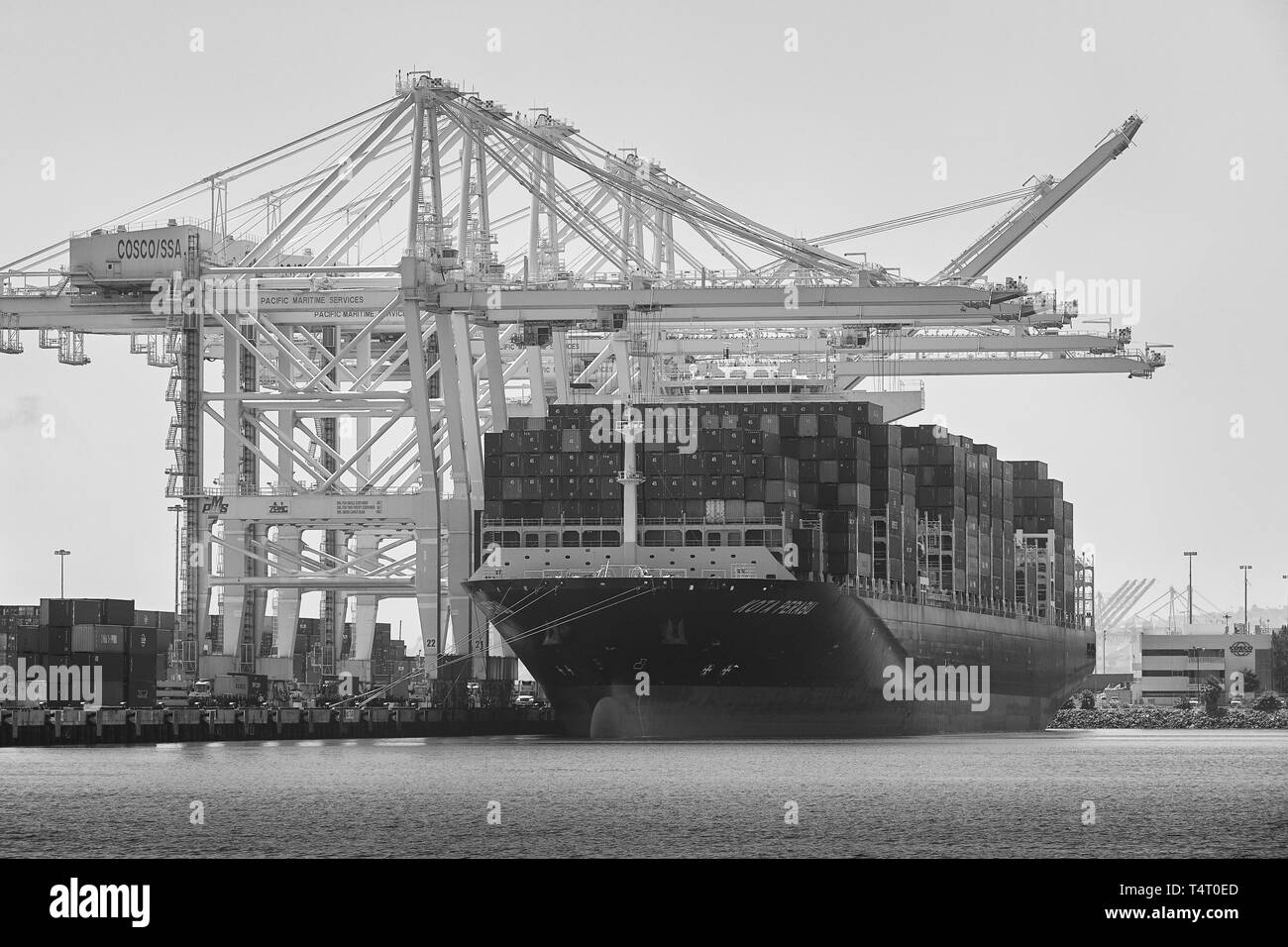 Schwarz-weiß Foto von den riesigen Wan Hai Linien Containerschiff, KOTA PERABU, günstig In Pier J Am Langen Strand Container Terminal, Kalifornien, USA. Stockfoto