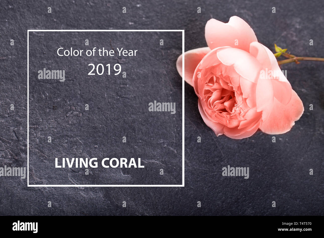 Trendy kreative Collage in der Farbe des Jahres 2019. Stockfoto